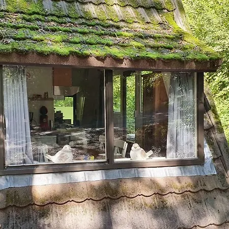 Chalet Bungalow *